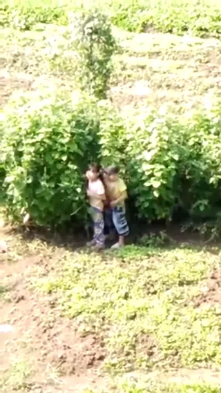 [두 마리 토끼] 길가에서 화장실에 가려고 했는데, 뜻밖에도 고개를 들어 채소밭에서 이 장면을 보았다