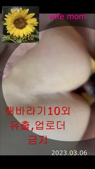 마누라와 장모보지 비교영상 1 | 한국야동 고화질 스트리밍