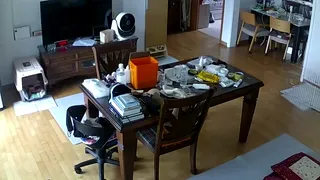 자유 분방한 집구석 | 한국야동 고화질 스트리밍