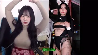 잡았다 요놈 bj 전보연 | 한국야동 고화질 스트리밍