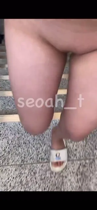 딱풀 물고 학교계단 오르기