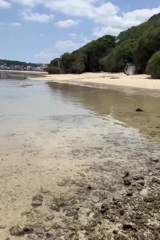 오키나와 야외에서 구독자 오빠한테 왕창 따먹혔어요 ㅜㅜ 밖이던 안이던 2박 3일 내내 따먹히구 ㅜㅜ 사람들 다 쳐다보구 ㅜㅜ 일본에도 걸레인거 다 소문나버려쪄....  풀버젼은 피딩과 온팬으루 어서오세요??