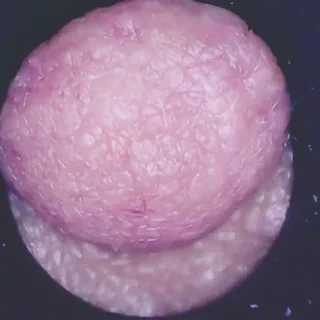 乳首  思ってたより綺麗に撮れた